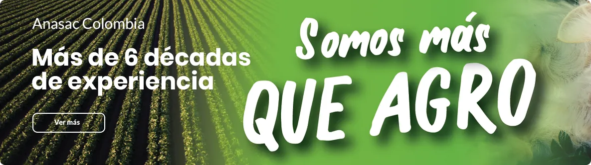Somos más que agro - anasac en el mundo