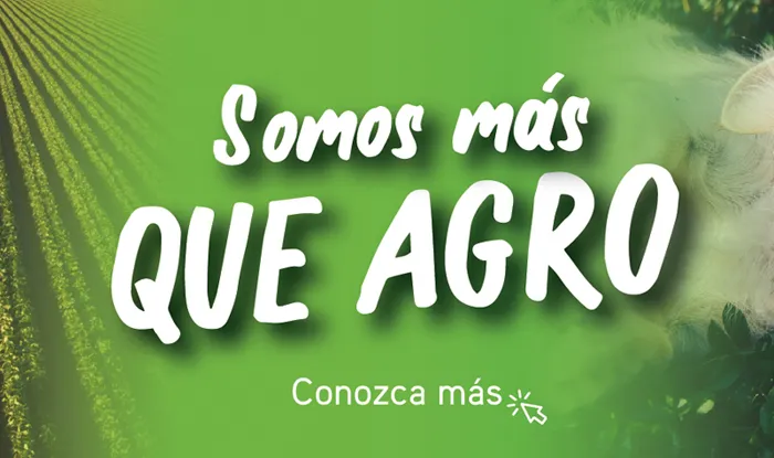 Somos más que agro - anasac en el mundo