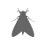 Polilla