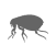Pulga