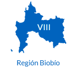 VIII Región Biobio